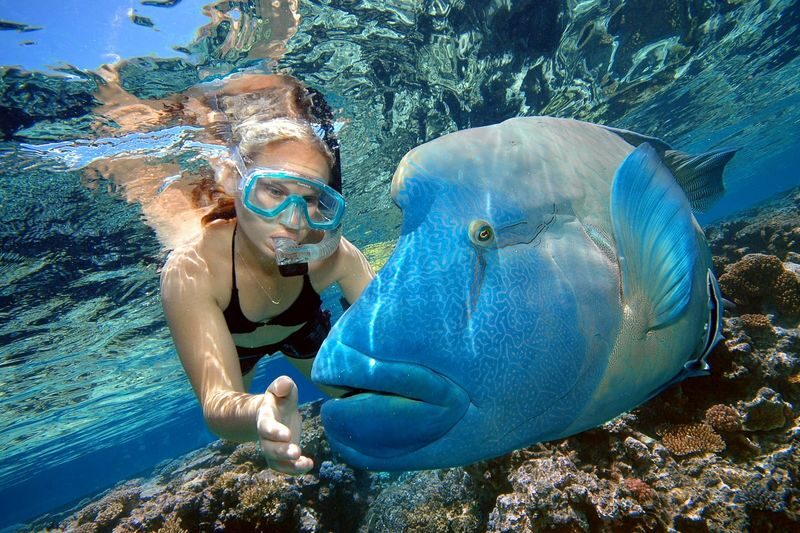 Reef Magic Pontoon Cruise Tour from Cairns - Who should book this Cairns reef trip?