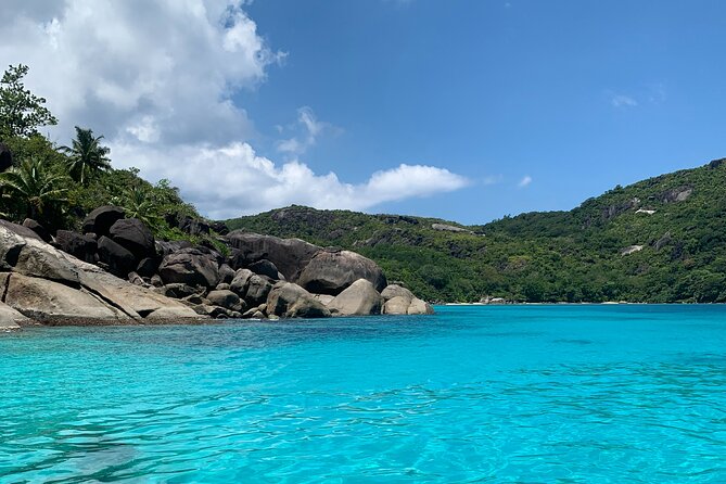 Reef Safari - Snorkeling, Fish Feeding & Lunch (Shared Day Trip) - Tour Details