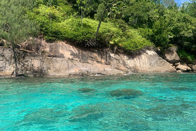 Reef Safari - Snorkeling, Fish Feeding & Lunch (Shared Day Trip) - What To Expect