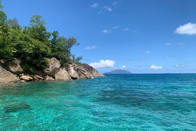 Reef Safari - Snorkeling, Fish Feeding & Lunch (Shared Day Trip) - Frequently Asked Questions