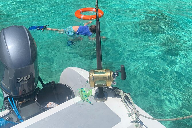 Reef Safari - Snorkeling, Fish Feeding & Lunch (Shared Day Trip) - The Sum Up