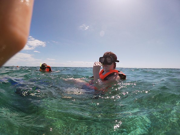 Reef Snorkel In National Park In Puerto Morelos With Lunch And Transportation - Pricing and Booking Information