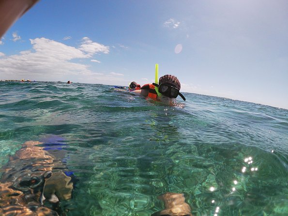 Reef Snorkel In National Park In Puerto Morelos With Lunch And Transportation - Overview of the Experience