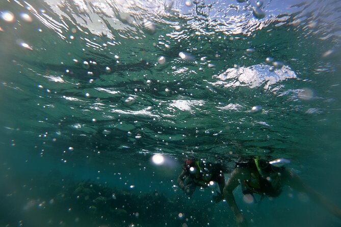 Reef Snorkel In National Park In Puerto Morelos With Lunch And Transportation - Additional Information