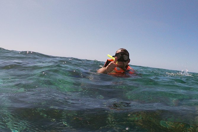 Reef Snorkel In National Park In Puerto Morelos With Lunch And Transportation - Miscellaneous