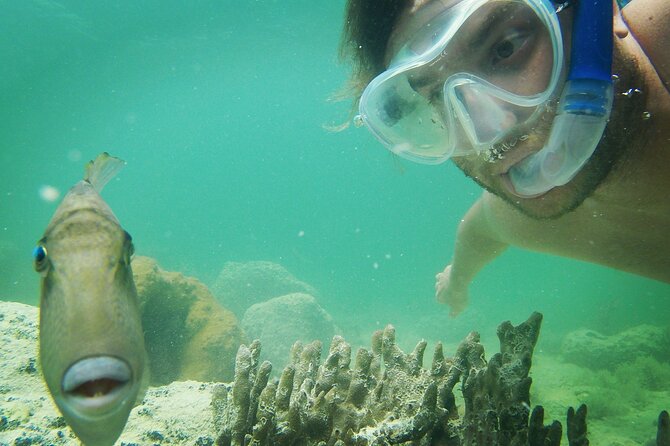 Reef Snorkel & Sunset Sail With Honest Eco - Inclusions and Meeting Details