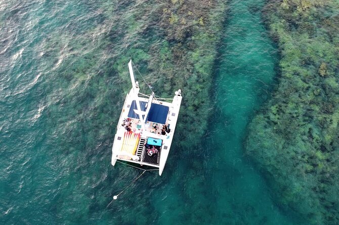 Reef Snorkel & Sunset Sail With Honest Eco - Expectations and Additional Information