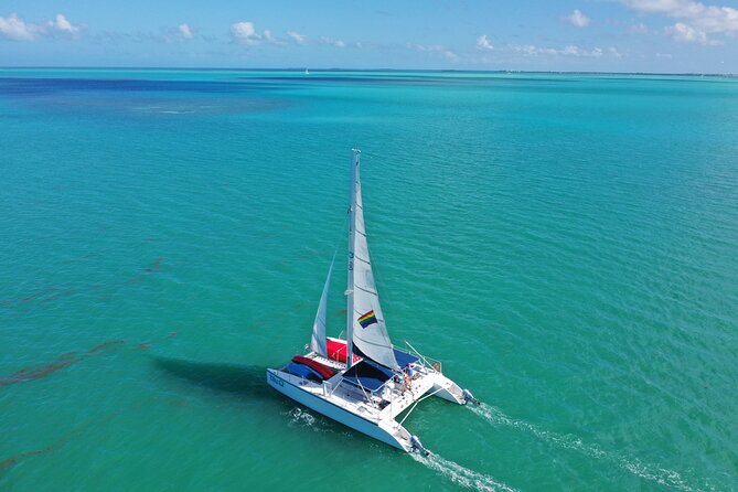 Reef Snorkel & Sunset Sail With Honest Eco - Common Questions
