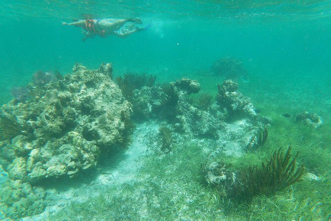 Reef Snorkel, underwater adventure in Puerto Morelos With Transportation & Lunch - Exploring the Itinerary: What You’ll Actually Do