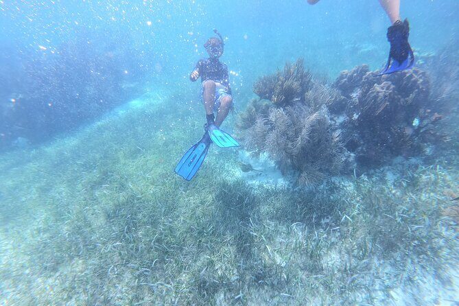 Reef Snorkel, underwater adventure in Puerto Morelos With Transportation & Lunch - The Real Deal: What Tourists Say