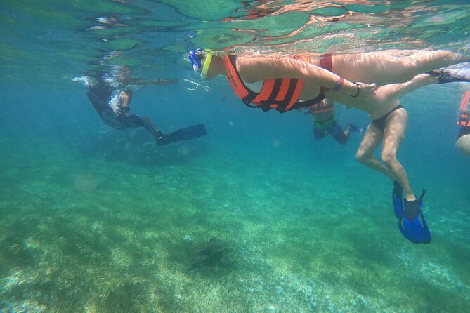 Reef Snorkeling With ATV, Zipline, Cenote That Includes Lunch and Transportation - Pricing and Booking Details