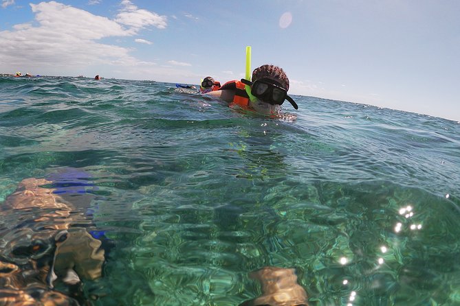 Reef Snorkeling With ATV, Zipline, Cenote That Includes Lunch and Transportation - Additional Information and Requirements