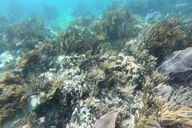 Reef Snorkeling With ATV, Zipline, Cenote That Includes Lunch and Transportation - Cancellation Policy