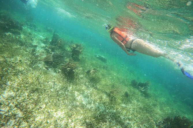 Reef Snorkeling With ATV, Zipline, Cenote That Includes Lunch and Transportation - Recommended Items to Bring