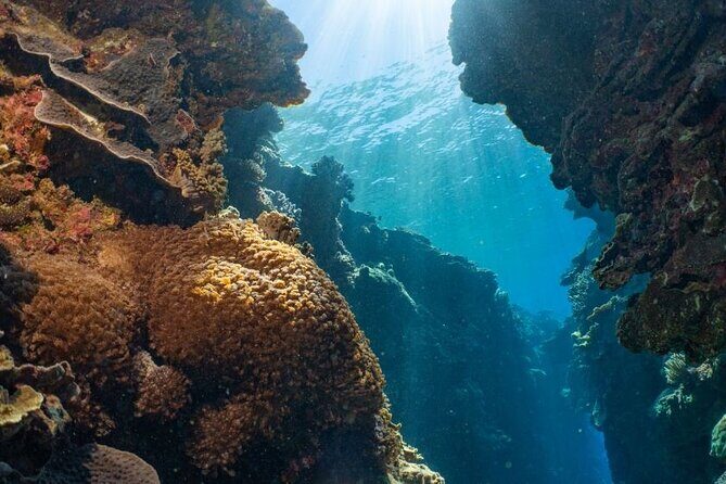 Reef Tour with SCUBA Dive from Cairns, pontoon with activities - Itinerary Breakdown: What’s in Store?