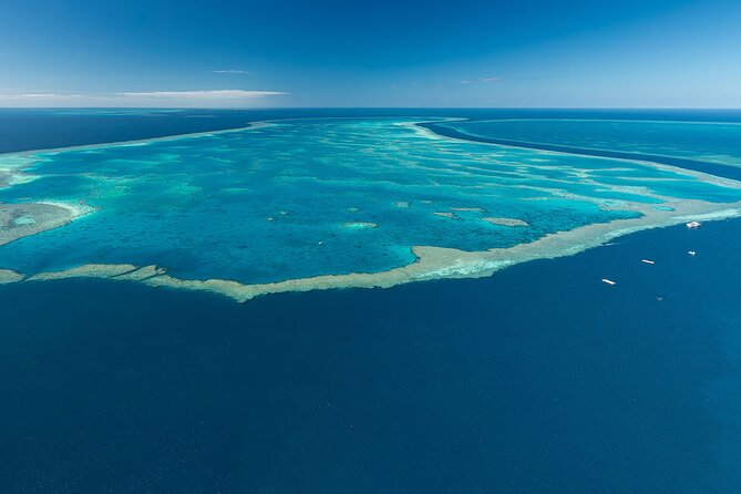 Reef & Whitehaven Spectacular - 60 Minute Helicopter Tour - Common Questions