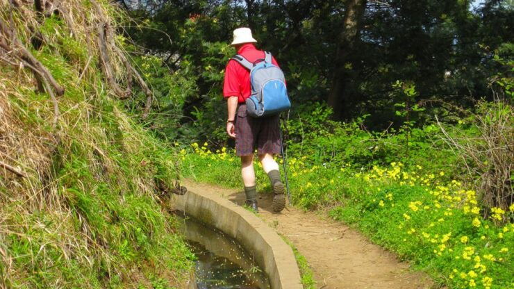 Referta / Castelejo - Levada Walk - Experience Highlights