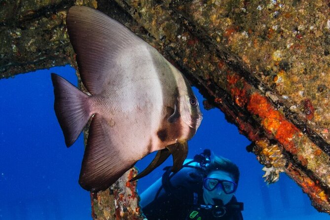 Refresher Scuba Diving Trip, 3 Dives at Racha Noi and Racha Yai - Cancellation Policy, Reviews, and Additional Information