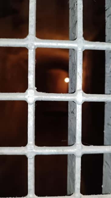 Refugios de la Guerra Civil: Un espacio de paz - FAQ: Your Questions Answered