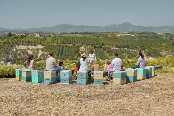 Regenerative Farming Veggies Tour & Salad Making Experience - Sustainable Farming Practices