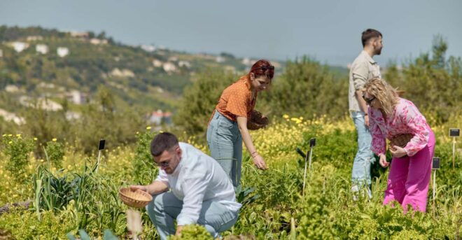 Regenerative Farming Veggies Tour & Salad Making Experience - Additional Farm Details