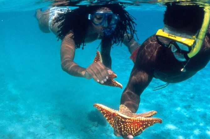 Reggae Rafting Experience With Power Snorkel Party Cruise - Booking Information