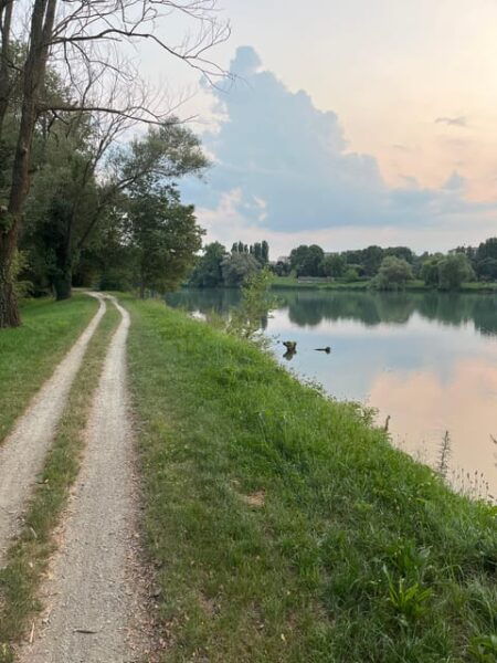 Reggia Di Venaria to Valentines Park: Self-Guided by E-Bike - Relaxed Park Atmosphere