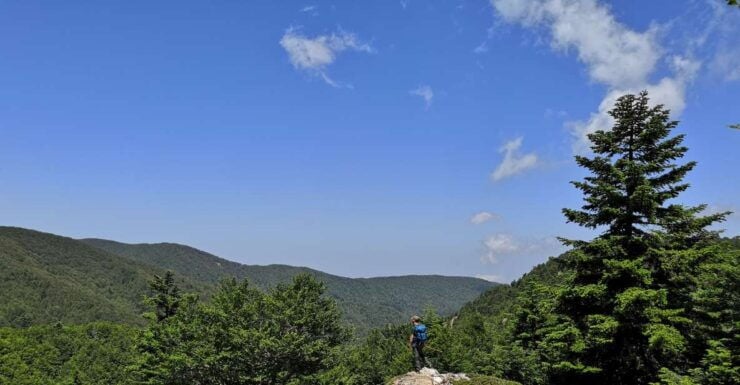 Reggio Calabria: Aspromonte Trails Trek to Montalto Summit - Trekking Towards Montalto Peak
