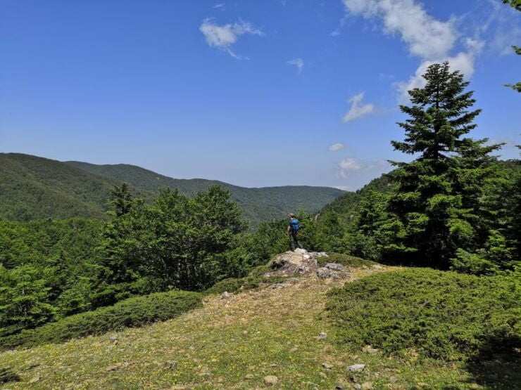 Reggio Calabria: Aspromonte Trails Trek to Montalto Summit - Meeting the Guide on Montalto-Polsi Road
