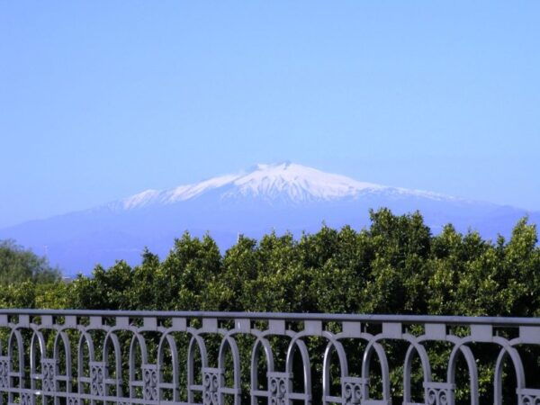 Reggio Calabria & Scilla - Guided Full-Day Tour From Tropea - Directions