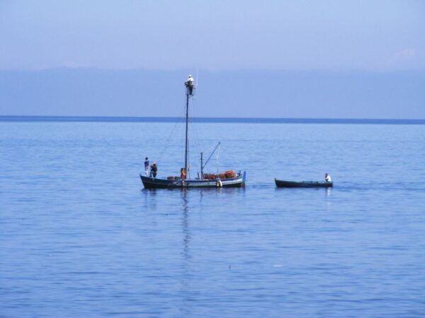 Reggio Calabria & Scilla - Guided Full-Day Tour From Tropea - Frequently Asked Questions