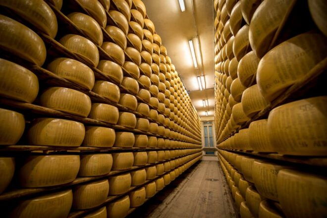 Reggio Emilia: Parmigiano Reggiano & Balsamic Vinegar Tour - Important Tour Information