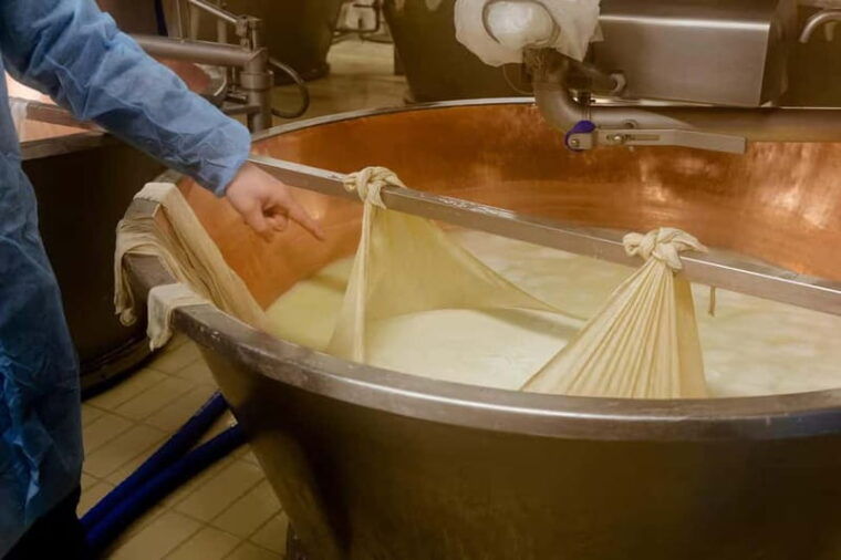 Reggio Food Tour: Parmigiano, balsamic, cured meats & wines - Who Is This Tour Best For?