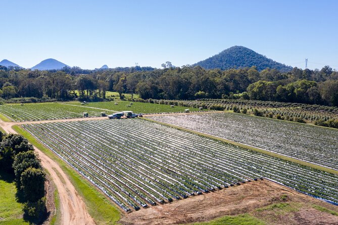 Regional Producers Food Tour - Booking and Support