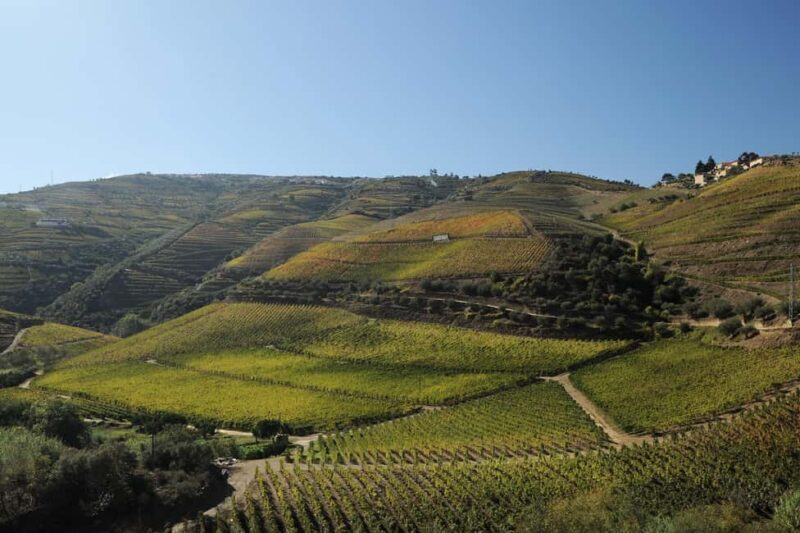 Régua/Pocinho/Régua - The Scenic Journey: Train and River