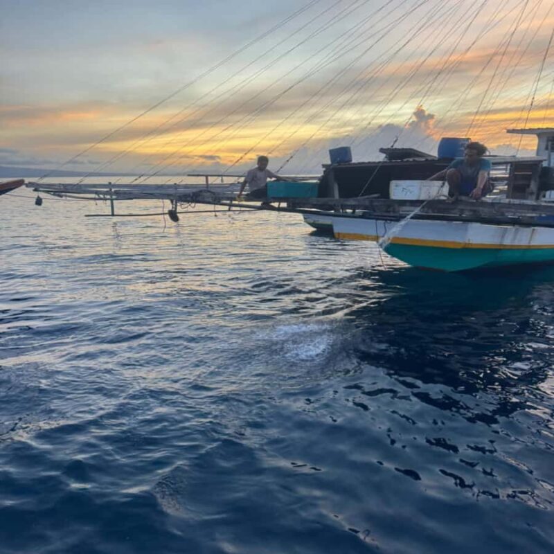 Regular Daily Sumbawa Whale Sharks One Day Tour - Engaging Meta Description