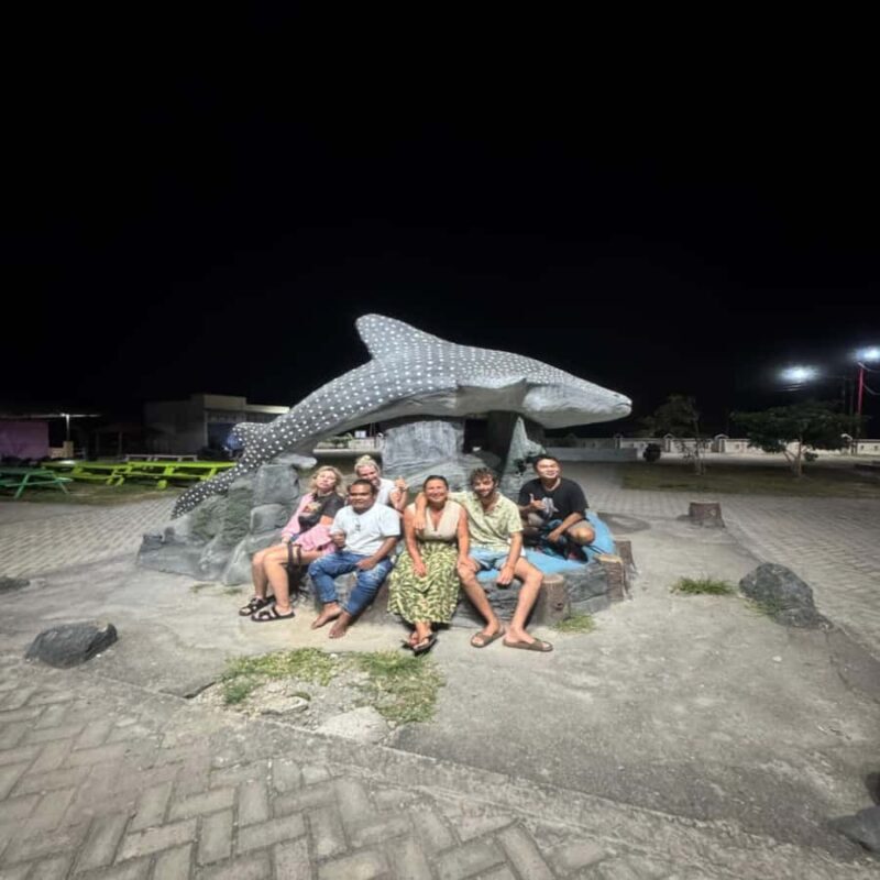 Regular Daily Sumbawa Whale Sharks One Day Tour - Introduction