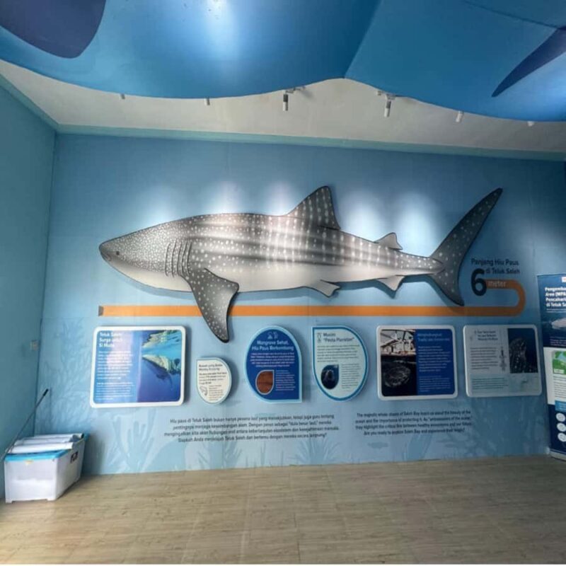 Regular Daily Sumbawa Whale Sharks One Day Tour - The Comforts and Convenience