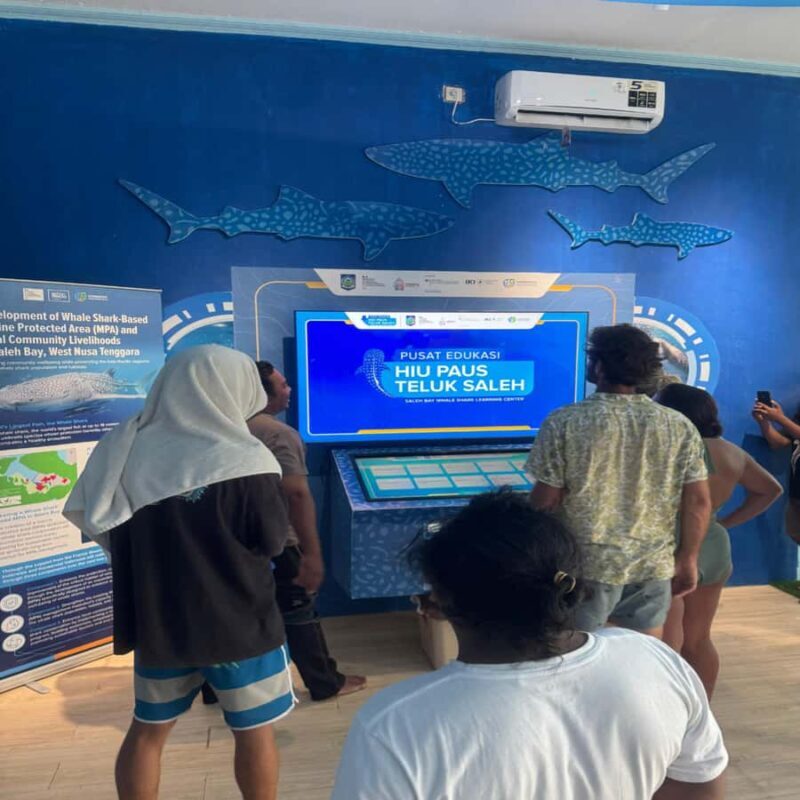 Regular Daily Sumbawa Whale Sharks One Day Tour - Who Will Love This Tour?