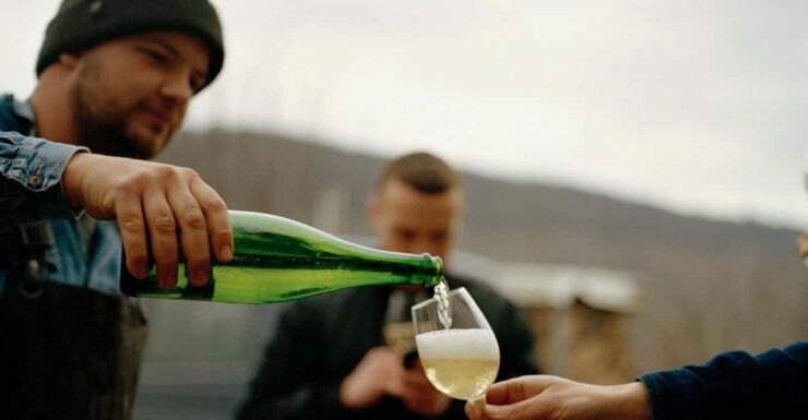 Reil, Mosel: Guided Organic Wine Tasting and Cellar Tour - Itinerary Details