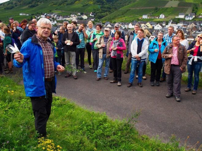 Reil, Mosel: Guided Organic Wine Tasting and Cellar Tour - Experience Highlights