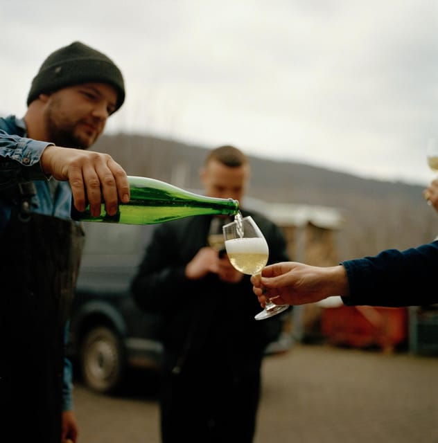 Reil, Mosel: Guided Organic Wine Tasting and Cellar Tour - Participant Information