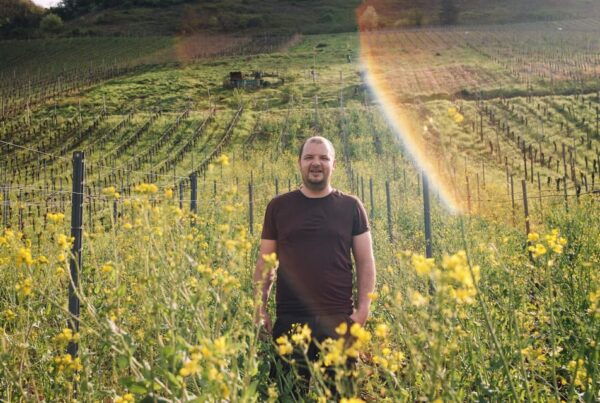 Reil, Mosel: Guided Organic Wine Tasting and Cellar Tour - Booking and Cancellation Policy