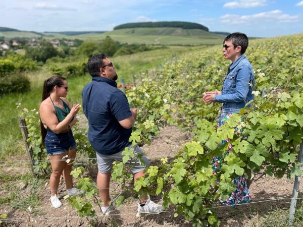 Reims/Epernay: Cave Visit in Reims, Discovery of Epernay - Booking and Cancellation Policy