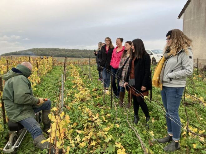 Reims/Epernay: Champagne Day Tour With Tastings - The Sum Up