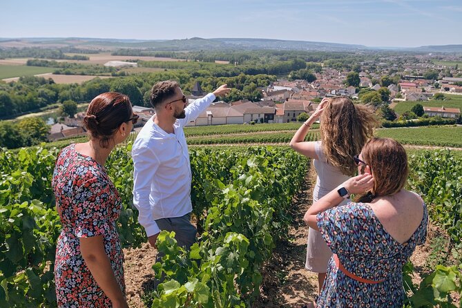 Reims : Morning Champagne Pommery and Family Grower Small Group Tour - Cancellation Policy and Additional Information