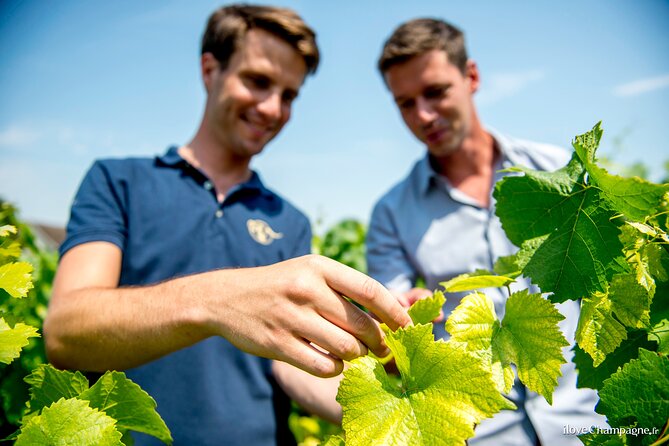 Reims or Epernay Region: Full Day Private Tour - Champagne Tasting Experience