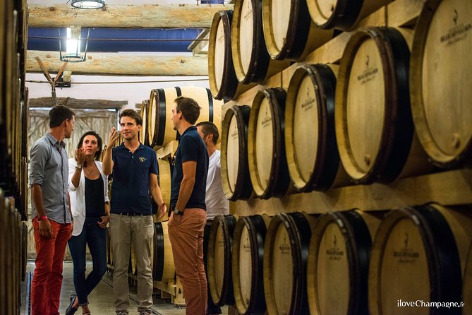 Reims or Epernay Region: Full Day Private Tour - Exploring Wine Estates