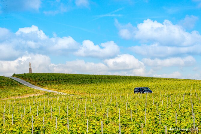 Reims or Epernay Region: Half Day Private Tour Minivan and Driver at Disposal - Highlights of Reims or Epernay