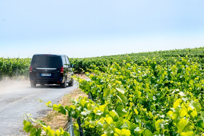 Reims or Epernay Region: Half Day Private Tour Minivan and Driver at Disposal - Tasting Experiences